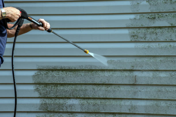 Best Residential Exterior Washing  in Prescott, AZ